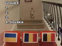 Известный пёс спрогнозировал выступление сборной Украины на Евро-2024