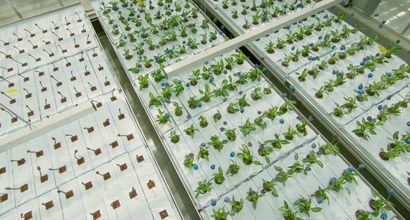 Трейлер (украинский дублированный)