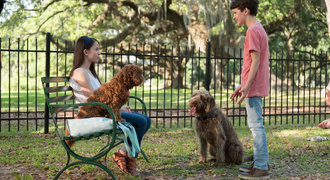 Думай как собака