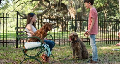 Трейлер (русский дублированный)