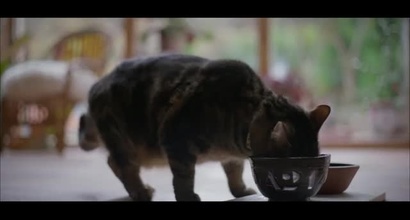 Поверни її мені. Офіційний тизер